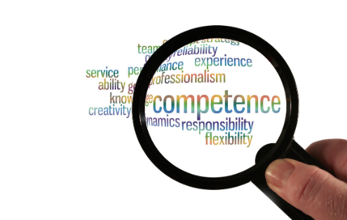 vCFO Competence